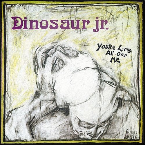 Dinosaur Jr. Little Fury Things profile picture