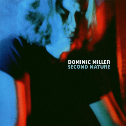 Dominic Miller Lullaby To An Anxious Child profile picture