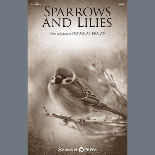 Douglas Nolan Sparrows And Lilies profile picture