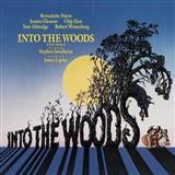 Download or print Ed Lojeski Into The Woods (Medley) Sheet Music Printable PDF 46-page score for Broadway / arranged SATB SKU: 93143