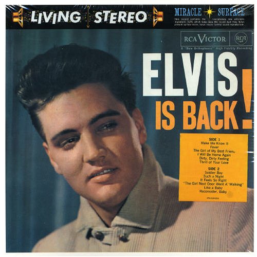Elvis Presley A Mess Of Blues profile picture