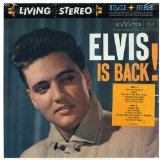 Download or print Elvis Presley A Mess Of Blues Sheet Music Printable PDF 2-page score for Rock N Roll / arranged Lyrics & Chords SKU: 46057