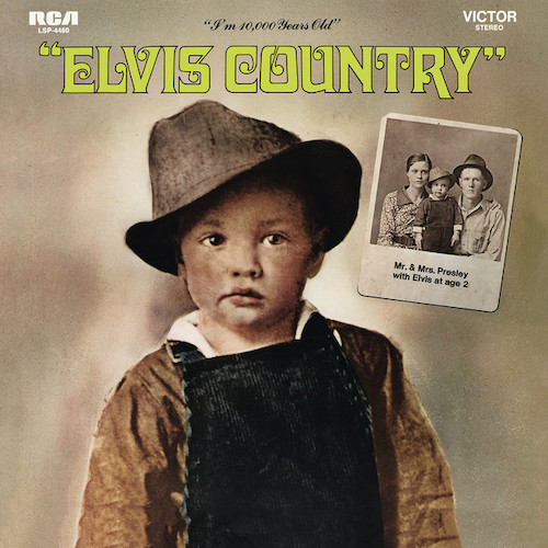 Elvis Presley It's Your Baby You Rock It profile picture