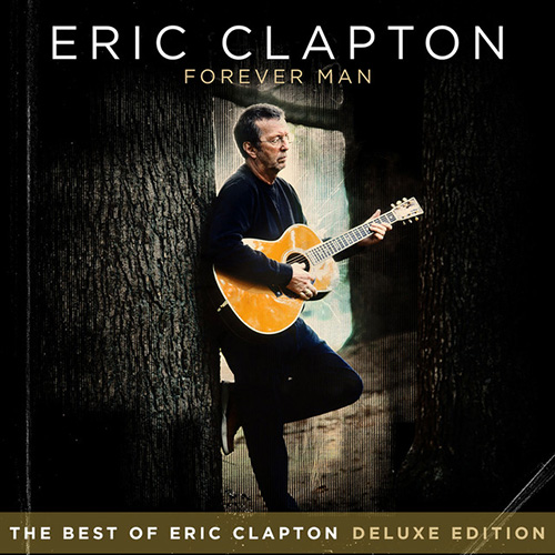 Eric Clapton My Father's Eyes profile picture
