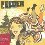 Download or print Feeder Feeling A Moment Sheet Music Printable PDF 7-page score for Rock / arranged Piano, Vocal & Guitar (Right-Hand Melody) SKU: 32155