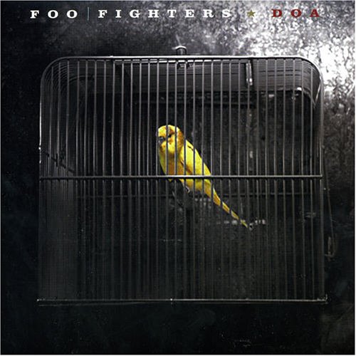 Foo Fighters Skin And Bones profile picture