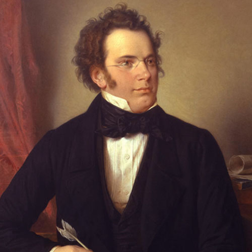 Franz Schubert Andante in C Major profile picture