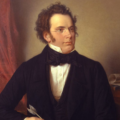 Franz Schubert Andantino profile picture