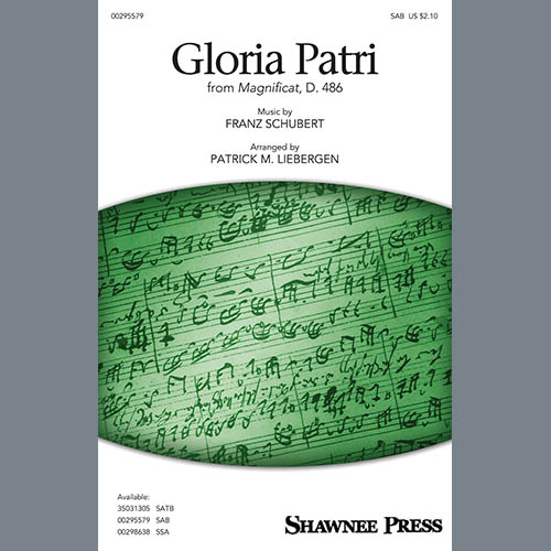 Franz Schubert Gloria Patri (from Magnificat, D. 486) (arr. Patrick M. Liebergen) profile picture