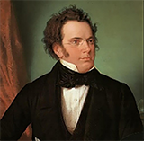Download Franz Schubert Bliss Sheet Music arranged for Instrumental Solo - printable PDF music score including 2 page(s)