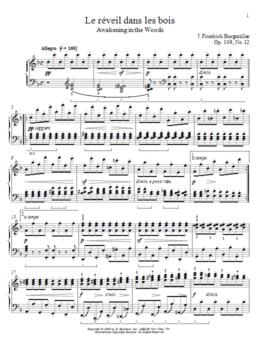 Learn to play Friedrich Burgmuller Awakening in the Woods sheet music for Piano Solo in minutes. Friedrich Burgmuller Awakening in the Woods sheet music preview music notes and score for Piano Solo including 2 page(s)