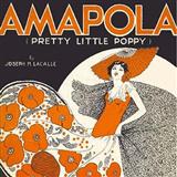 Download or print Joseph M. Lacalle Amapola (Pretty Little Poppy) Sheet Music Printable PDF 3-page score for Folk / arranged Accordion SKU: 158005