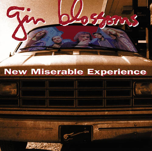 Gin Blossoms Hey Jealousy profile picture