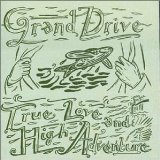 Download or print Grand Drive A Ladder To The Stars Sheet Music Printable PDF 3-page score for Country / arranged Lyrics & Chords SKU: 104606