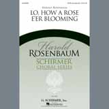 Download or print Harold Rosenbaum Lo, How A Rose E'er Blooming Sheet Music Printable PDF 11-page score for Concert / arranged SATB SKU: 97824