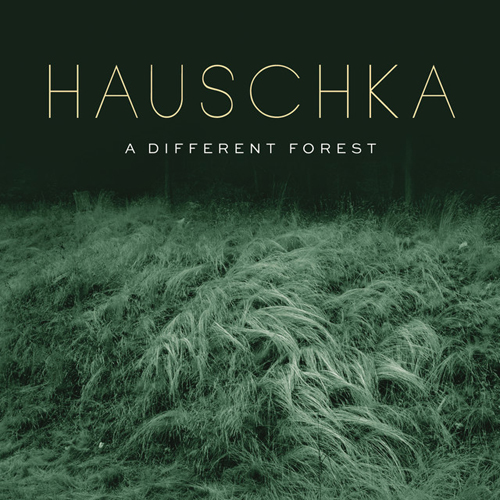 Hauschka Collecting Stones profile picture