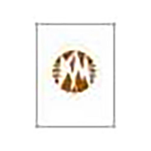 Hilton Kean Jones Tempesta (The Wind) - Piano Accompaniment pictures Hilton Kean Jones Tempesta (The Wind) - Piano Accompaniment profile picture