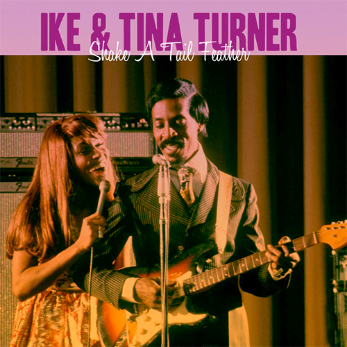 Ike & Tina Turner Shake A Tail Feather profile picture