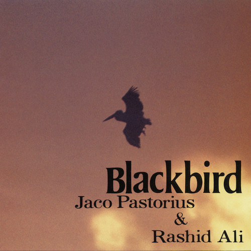 Jaco Pastorius & Rashid Ali Slang profile picture