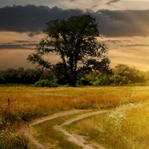 James G. Small Profile piano notes, guitar tabs for Easy Piano. Easy to transpose or transcribe. Learn how to play, download song progression by artist