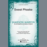 Download or print Traditional Folksong Sweet Phoebe (arr. Jameson Marvin) Sheet Music Printable PDF 7-page score for Concert / arranged SSA SKU: 95858