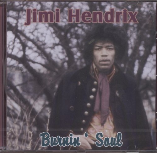 Jimi Hendrix Long Hot Summer Night profile picture