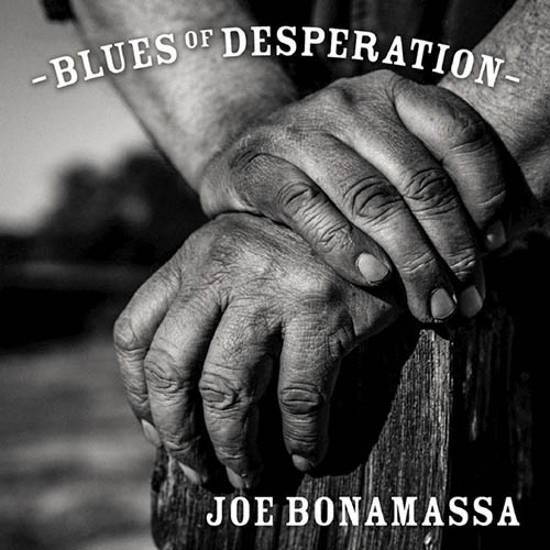 Joe Bonamassa The Valley Runs Low profile picture