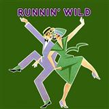 Download or print Joe Grey Runnin' Wild Sheet Music Printable PDF 4-page score for Jazz / arranged Piano, Vocal & Guitar (Right-Hand Melody) SKU: 89828