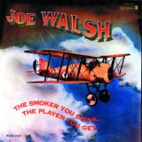 Download or print Joe Walsh Rocky Mountain Way Sheet Music Printable PDF 2-page score for Rock / arranged Lyrics & Chords SKU: 48213