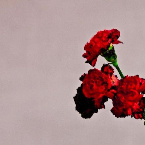 John Legend You And I (Nobody In The World) profile picture