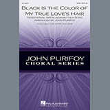 Download or print Traditional Black Is The Color of My True Love's Hair (arr. John Purifoy) Sheet Music Printable PDF 4-page score for Concert / arranged SATB SKU: 96834