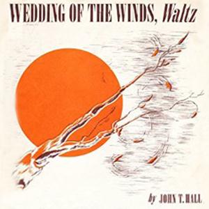 John T. Hall Wedding Of The Winds profile picture
