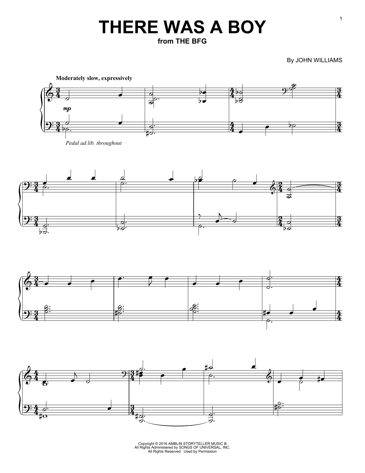 Learn to play John Williams There Was A Boy sheet music for Piano in minutes. John Williams There Was A Boy sheet music notes and chords