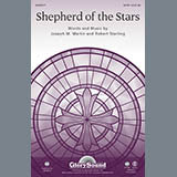 Download or print Joseph M. Martin Shepherd Of The Stars - Percussion Sheet Music Printable PDF 2-page score for Concert / arranged Choir Instrumental Pak SKU: 305898