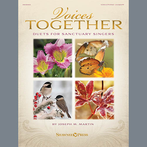 Joseph M. Martin Still Is The Night (from Voices Together: Duets for Sanctuary Singers) profile picture