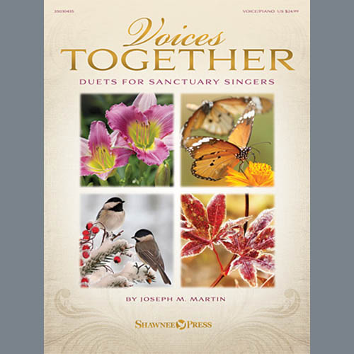 Joseph M. Martin Wonderful Songs of Grace (from Voices Together: Duets for Sanctuary Singers) profile picture