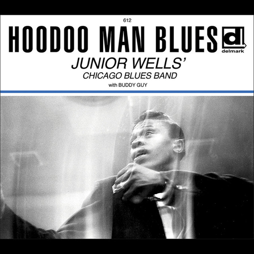 Junior Wells Hoodoo Man Blues profile picture