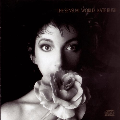 Kate Bush This Woman's Work (from She's Having A Baby) profile picture