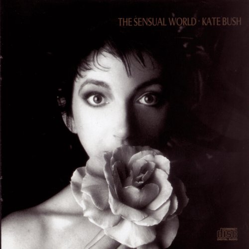 Kate Bush This Woman's Work (from She's Having A Baby) pictures Kate Bush This Woman's Work (from She's Having A Baby) profile picture