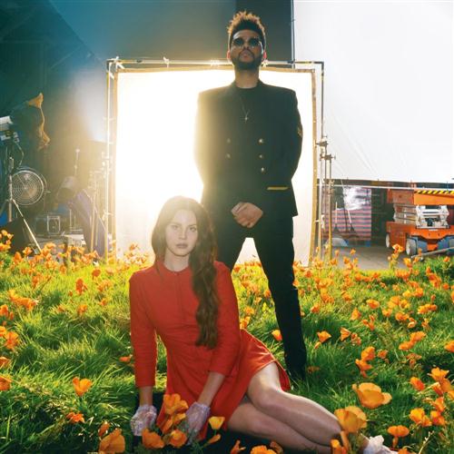 Lana Del Rey Lust For Life (feat. The Weeknd) profile picture