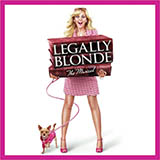 Download or print Legally Blonde The Musical There! Right There! Sheet Music Printable PDF 11-page score for Broadway / arranged Piano, Vocal & Guitar (Right-Hand Melody) SKU: 71158