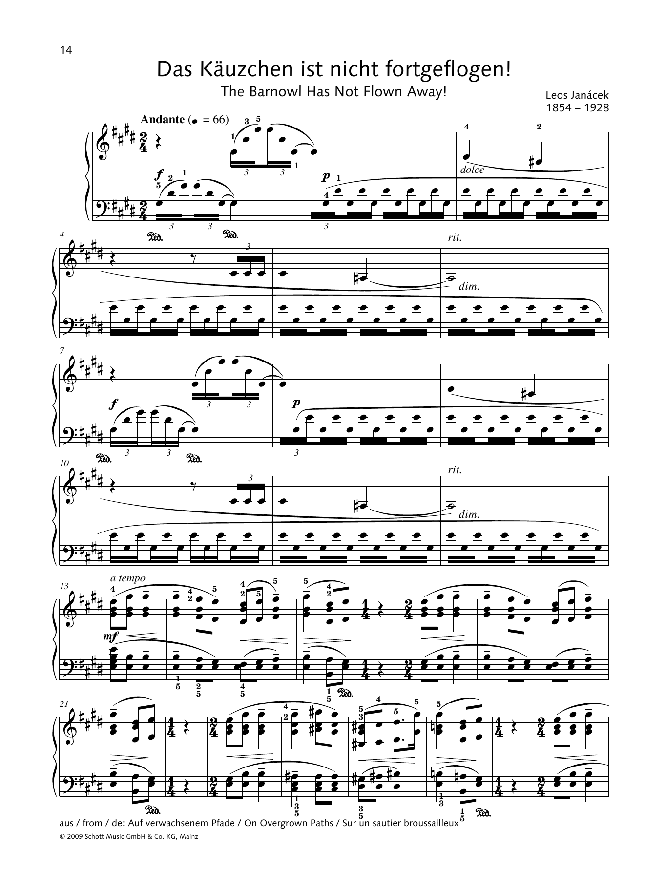 Learn to play Leos Janácek The Barnowl has not Flown Away! sheet music for Piano Solo in minutes. Leos Janácek The Barnowl has not Flown Away! sheet music preview music notes and score for Piano Solo including 4 page(s)