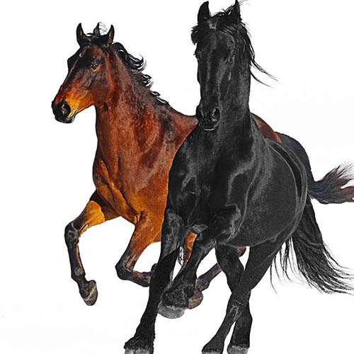Lil Nas X feat. Billy Ray Cyrus Old Town Road (Remix) profile picture