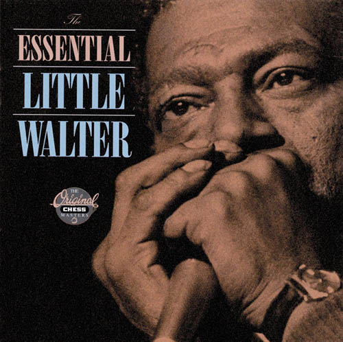 Little Walter Boom Boom (Out Go The Lights) profile picture