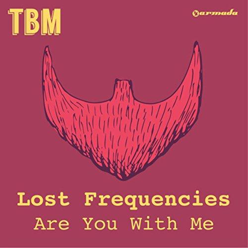 Lost Frequencies Are You With Me profile picture