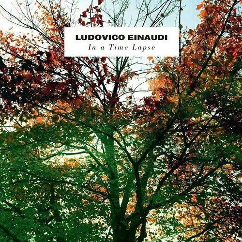 Ludovico Einaudi Two Trees profile picture