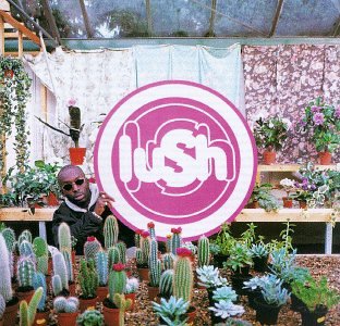 Lush Ciao! profile picture