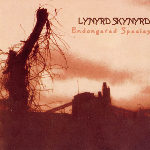 Lynyrd Skynyrd Down South Jukin' profile picture
