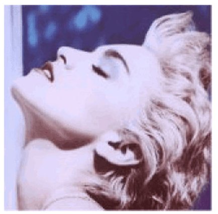 Madonna True Blue profile picture