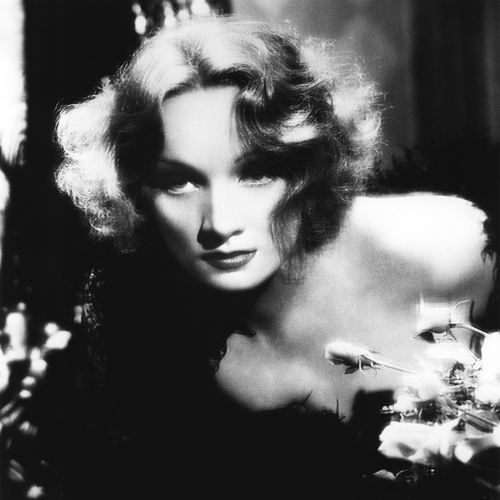 Marlene Dietrich Profile piano notes, guitar tabs for Easy Piano. Easy to transpose or transcribe. Learn how to play, download song progression by artist